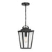 Millennium - 68301-PBK - One Light Pendant - Brenwick - Powder Coated Black