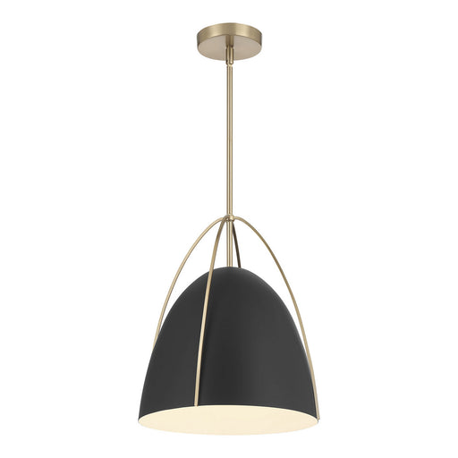 Pomelle One Light Pendant Matte Black