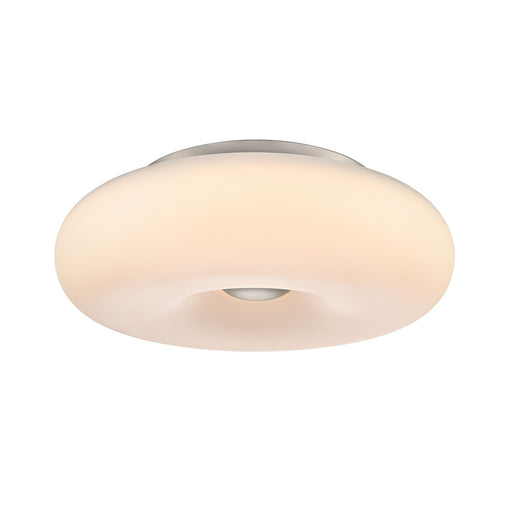 Flush Mounts - Ring Shade/Halo