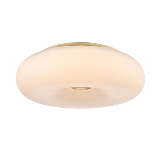 Flush Mounts - Ring Shade/Halo