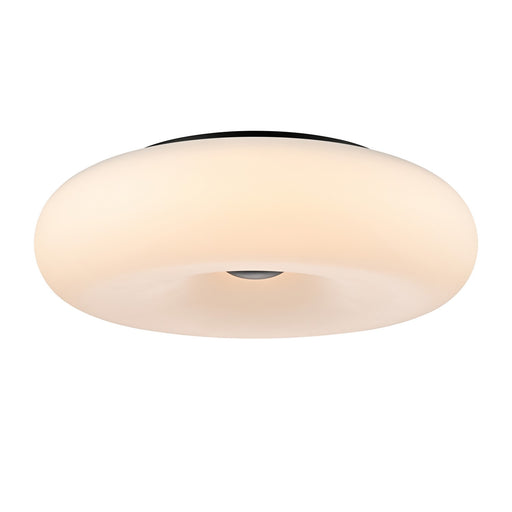 Flush Mounts - Ring Shade/Halo