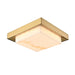 DVI Lighting - DVP24638CPG-BFA - Flush Mounts - Slimline/Low Profile