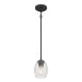 Millennium - 9981-MB - One Light Mini Pendant - Miravelle - Matte Black