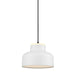 DVI Lighting - DVP37721MW - Pendants - Metal Shade