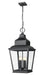 Z-Lite - 5029CHXL-BK - Four Light Outdoor Chain Mount Ceiling Fixture - Raphael - Sand Black