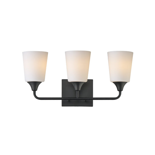 Hudson Three Light Bath Vanity Black