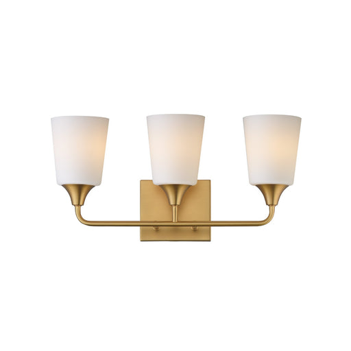 Hudson Three Light Bath Vanity Natural Aged Brass