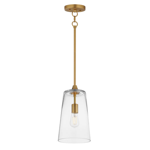 Hudson One Light Pendant Natural Aged Brass