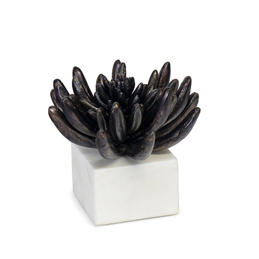Succulent Sculpture Blacken Zinc