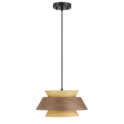 Aalto One Light Pendant Dark Walnut-Light Walnut