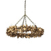 Palecek - 2348-79 - Chandelier - Siena - Antique Brass