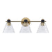 Trans Globe Imports - 22593 AGBK-CL - Three Light Vanity - Antique Gold/Black