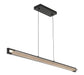 Eurofase - 50058-013 - LED Linear Chandelier - Neoness - Matte Black