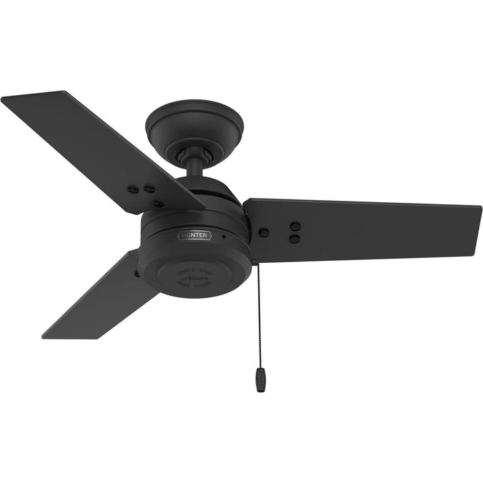Hunter - 50320 - 36" Ceiling Fan - Cassius - Matte Black