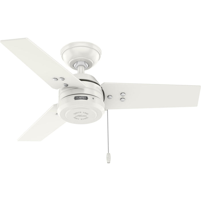 Hunter - 50321 - 36" Ceiling Fan - Cassius - Fresh White