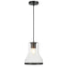 Varaluz - 580M01BLK - One Light Pendant - Alicia - Matte Black