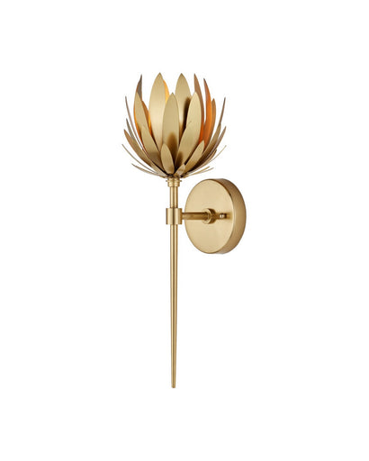 Protea One Light Wall Sconce Brass