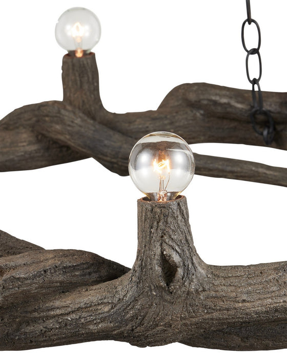 Currey and Company - 9000-1336 - Eight Light Chandelier - Dunmore - Charbon de Bois