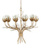 Currey and Company - 9000-1359 - Ten Light Chandelier - Star Magnolia - Antique Brass/White/Clear