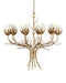 Currey and Company - 9000-1359 - Ten Light Chandelier - Star Magnolia - Antique Brass/White/Clear
