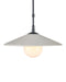 Currey and Company - 9500-0020 - One Light Pendant - Bothy - Natural/Black/Frosted White
