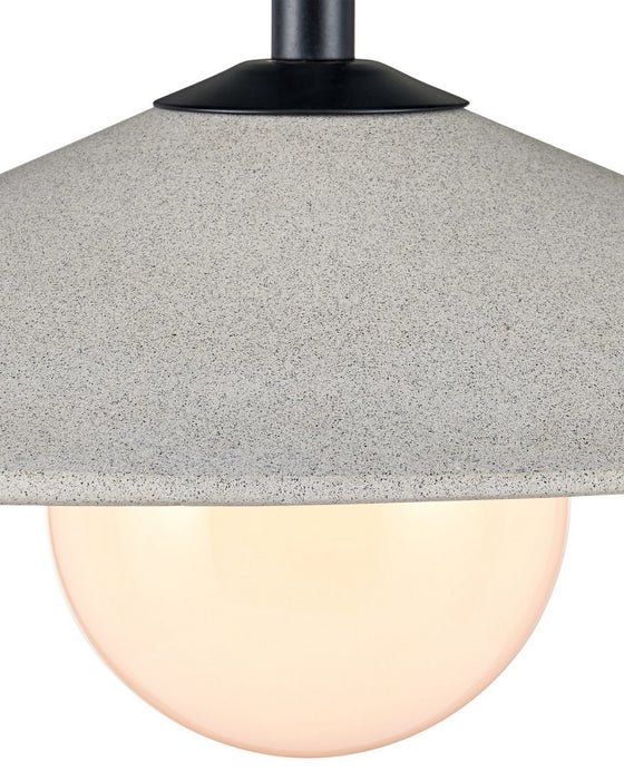 Currey and Company - 9500-0020 - One Light Pendant - Bothy - Natural/Black/Frosted White