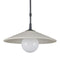 Currey and Company - 9500-0020 - One Light Pendant - Bothy - Natural/Black/Frosted White