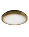 Currey and Company - 9999-0083 - LED Flush Mount - Aydan - Natural/Polished Antique Brass