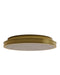 Currey and Company - 9999-0083 - LED Flush Mount - Aydan - Natural/Polished Antique Brass