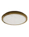Currey and Company - 9999-0084 - LED Flush Mount - Aydan - Natural/Polished Antique Brass