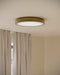 Currey and Company - 9999-0084 - LED Flush Mount - Aydan - Natural/Polished Antique Brass