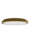 Currey and Company - 9999-0084 - LED Flush Mount - Aydan - Natural/Polished Antique Brass