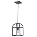 Trans Globe Imports - 11811 BK - One Light Pendant - Sabriel - Black