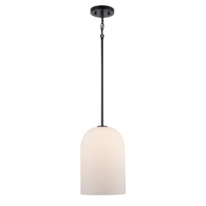Trans Globe Imports - 72030-1 BK - One Light Pendant - Capri - Black / Frosted