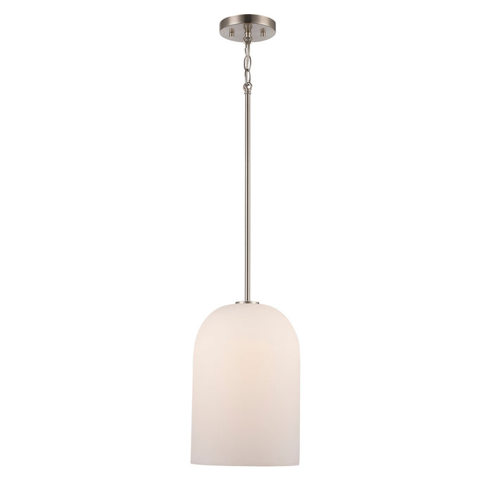 Trans Globe Imports - 72030-1 BN - One Light Pendant - Capri - Brushed Nickel