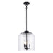 Trans Globe Imports - 72050-3 BK - Three Light Pendant - Zoe - Black