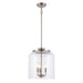 Trans Globe Imports - 72050-3 BN - Three Light Pendant - Zoe - Brushed Nickel