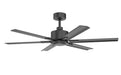 Trans Globe Imports - F-1066 BK - 52" Ceiling Fan - Rayne - Black
