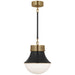 Visual Comfort Signature - KW 5221AB/BZ-WG - One Light Pendant - Precision - Antique-Burnished Brass and Bronze