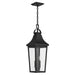Kichler - 59198BKT - Two Light Outdoor Pendant - Cleary - Textured Black