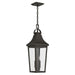 Kichler - 59198OZ - Two Light Outdoor Pendant - Cleary - Olde Bronze