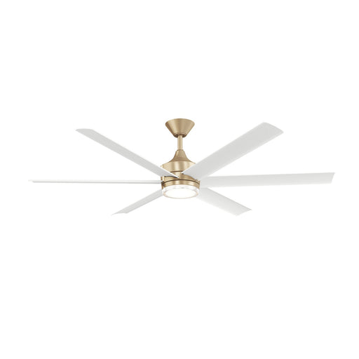 Solen 65