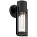 Access - 20115LEDDMGLP-BL/CLR - LED Outdoor Wall Mount - Coastal - Black