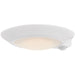 Access - 20991LEDDMSCS-WH/ACR - LED Flush Mount - Ace MS - White