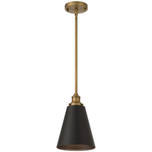 Dahlia One Light Pendant Antique Brushed Brass