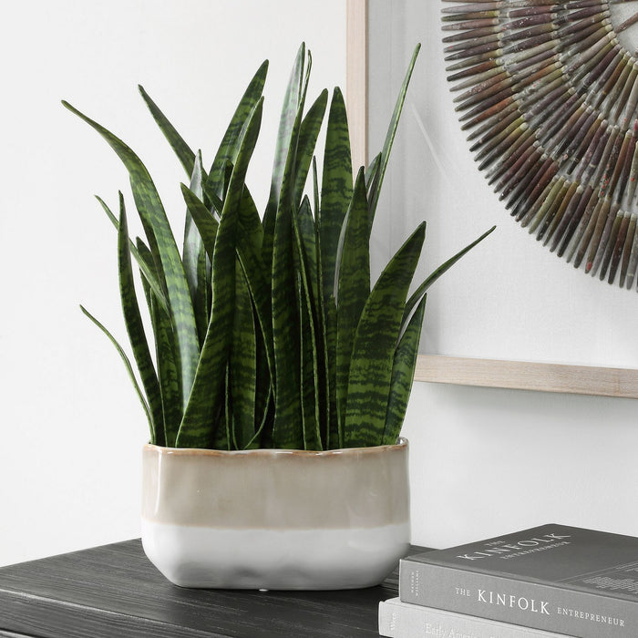 Uttermost - 60271 - Accent Plant - Sansera Snake - Beige And Tan
