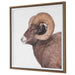 Uttermost - 32546 - Framed Print - Big Horn