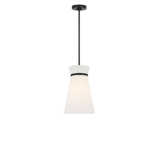 Fynn One Light Pendant Midnight Black