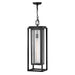 Hinkley - 1006BK - LED Hanging Lantern - Republic - Black