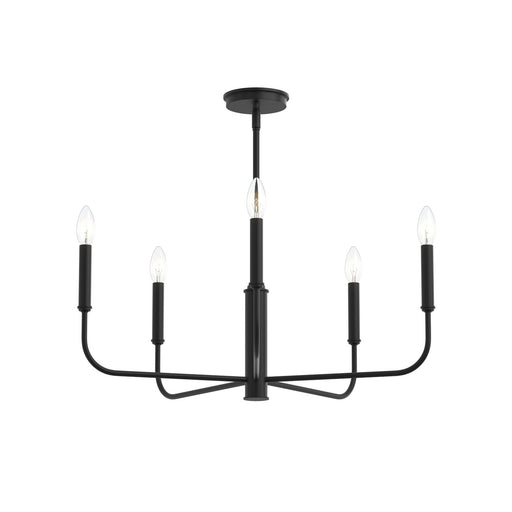 Progress Lighting - P400446-31M - Five Light Chandelier - Reines - Matte Black
